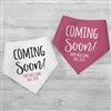 Product Thumbnail Bandana Bib