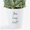 Product Thumbnail Examples