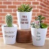 Product Thumbnail Examples