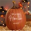 Product Thumbnail Environmental View Large Pumpkin