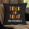 Product Thumbnail 18 Inch Velvet Pillow