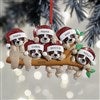 6 Sloths