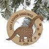 Product Thumbnail Natural Dino