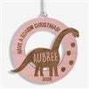 Product Thumbnail Pink Dino