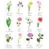 Birth Flower Chart