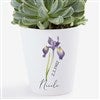 Product Thumbnail Mini Flower Pot   