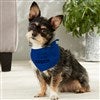 Product Thumbnail Blue