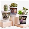 Product Thumbnail View Design