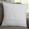 14 Inch Velvet Pillow Back