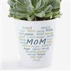 Product Thumbnail Mini Flower Pot    