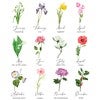 Product Thumbnail Birth Flower Chart