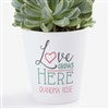 Product Thumbnail Mini Flower Pot