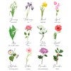 Birth Flower Chart