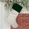 Product Thumbnail Green Stocking