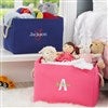 Pink & Navy Storage Totes