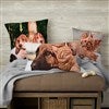 Product Thumbnail Group Shot- Multiple Sizes