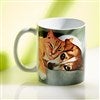 Product Thumbnail Environment View