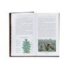 Product Thumbnail Inside View 2