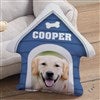 Product Thumbnail House Pillow