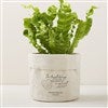 Product Thumbnail 5x5 Canvas Planter Bag