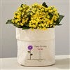 7x7 Canvas Planter Bag