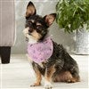 Product Thumbnail Dog Bandana-Small