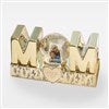 Product Thumbnail Engraved Gold Lettered Mom Snow Globe