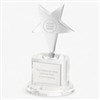Pmall thumb Corporate Engraved Crystal and Silver Star Professional Award  - 43012