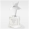 Pmall thumb Corporate Engraved Crystal and Silver Star Professional Award  - 43012