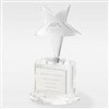 Pmall thumb Corporate Engraved Crystal and Silver Star Professional Award  - 43012