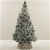 Product Thumbnail Tree Size Shown 6ft. 5in. 