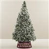 Product Thumbnail Tree Size Shown 6ft. 5in. 