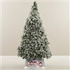 Product Thumbnail Tree Size Shown 6ft. 5in. 