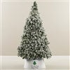 Product Thumbnail Tree Size Shown 6ft. 5in.