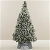 Product Thumbnail Tree Size Shown 6ft. 5in.