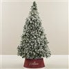 Product Thumbnail Tree Size Shown 6ft. 5in.