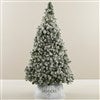 Product Thumbnail Tree Size Shown 6ft. 5in.