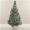 Product Thumbnail Tree Size Shown 6ft. 5in.
