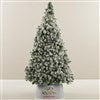 Product Thumbnail Tree Size Shown 6ft. 5in.