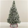 Product Thumbnail Tree Size Shown 6ft. 5in.