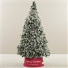 Product Thumbnail Tree Size Shown 6ft. 5in.