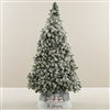 Product Thumbnail Tree Size Shown 6ft. 5in.