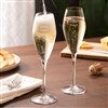 Product Thumbnail Full Glasses