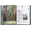 Product Thumbnail Inside View 1