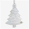 Product Thumbnail Silver Acrylic Ornament