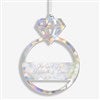 Product Thumbnail Silver Acrylic Ornament 