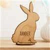 Product Thumbnail Natural Bunny 3