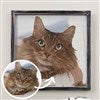 Product Thumbnail 12x12 Blackwashed