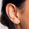 Product Thumbnail On Ear