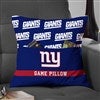 Product Thumbnail 14 Inch Pillow